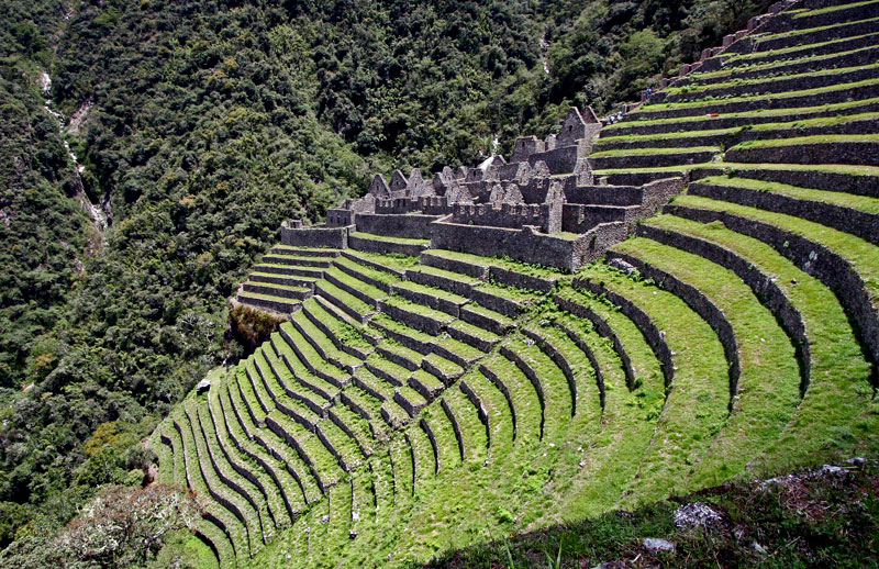Wiñay Wayna - Inca Trail a Machu Picchu