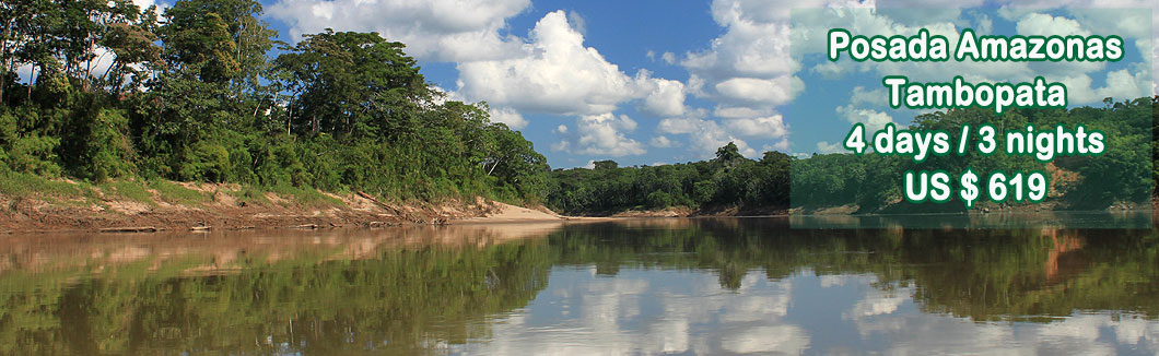 Jungle Tour in Tambopata