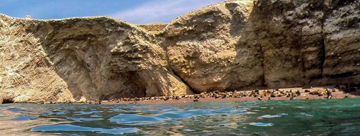 Travel to Paracas by bus