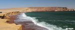 Tour Paracas and Ica Full Adventure Full Day