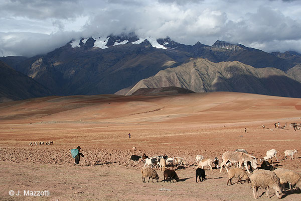 Plateau of Maras