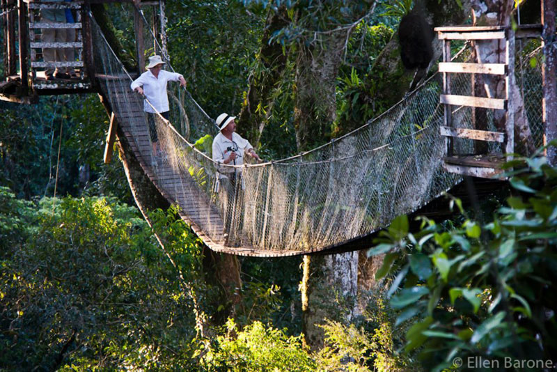 Amazon Jungle Lodge in Tambopata