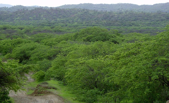 Protected Natural Areas in Tumbes