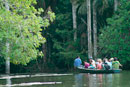 Jungle Tours in Tambopata